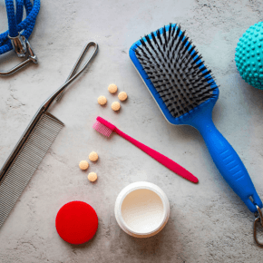 A brush, comb, tooth brush, pet toys and supplies.