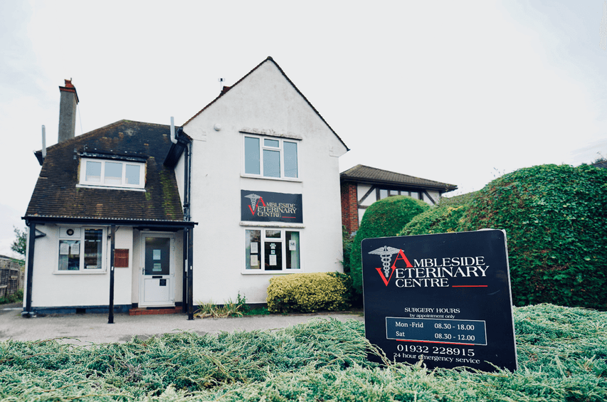 Vets For Pets Walton On Thames